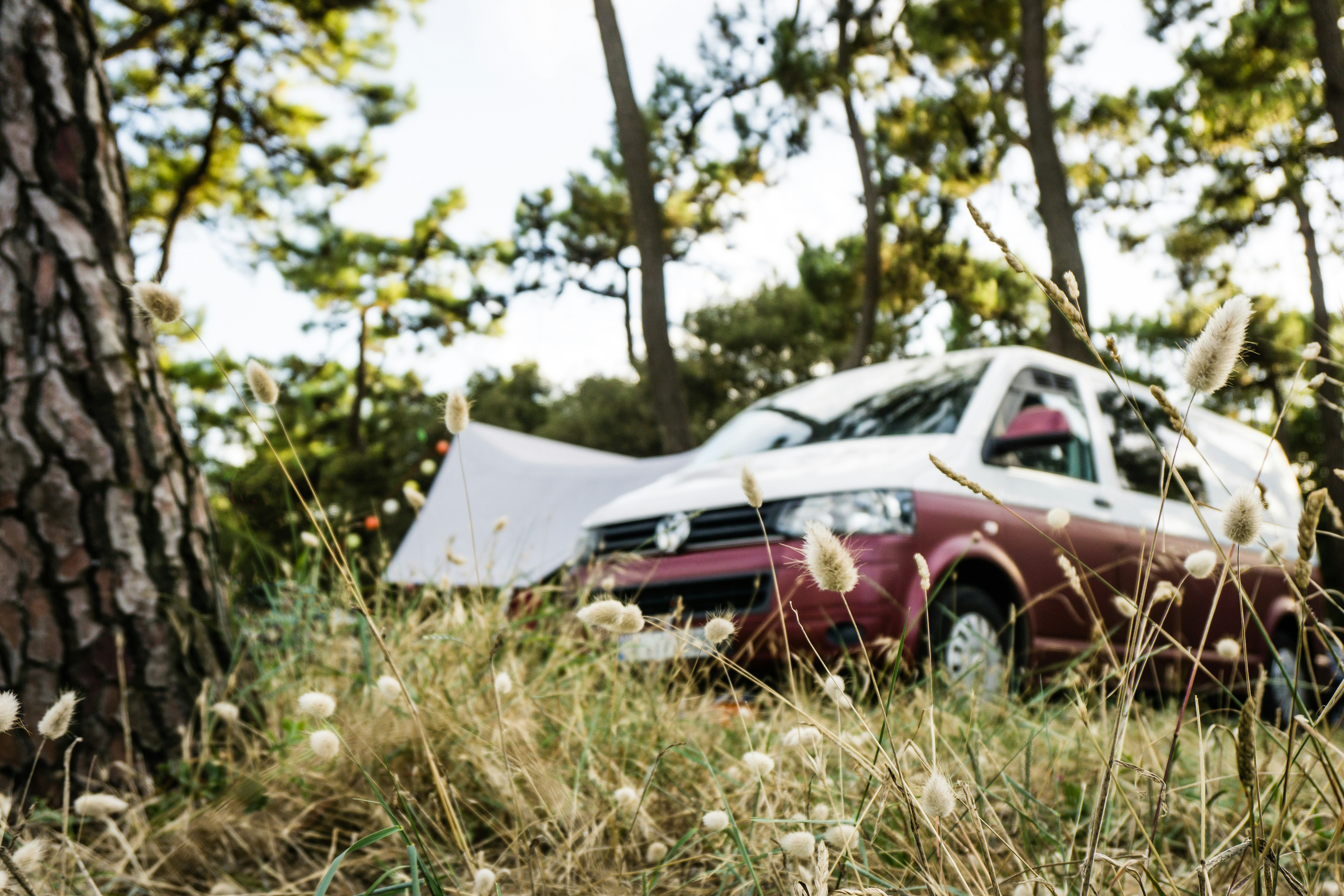 Alles über den Volkswagen T5 Camper - Eigenschaften, Umbautipps und mehr Alles über den Volkswagen T5 Camper - Eigenschaften, Umbautipps und mehr